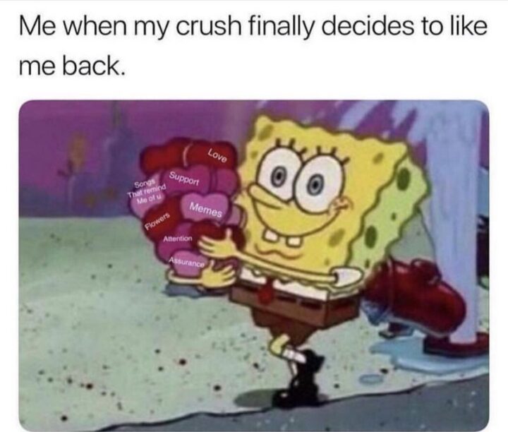 71 Flirting Memes - "Me when my crush decides to like me back..."
