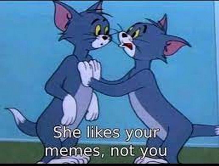 "She likes your (flirting) memes, not you."