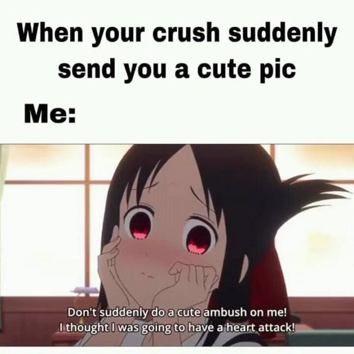 "When your crush suddenly sends you a cute pic. Me: Don't suddenly do a cute ambush on me! I thought I was going to have a heart attack!"