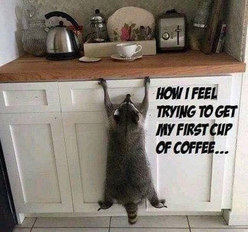 Coffee Humor To Start Your Day with Funny Images, Quotes, and Memes