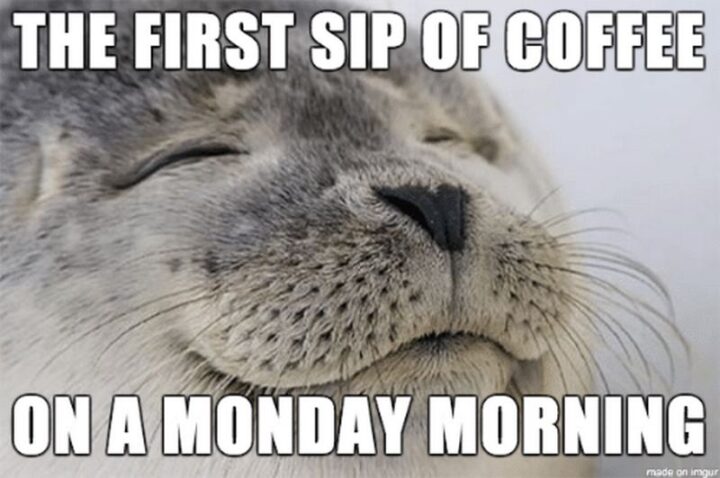 "The first sip of coffee on a Monday morning."