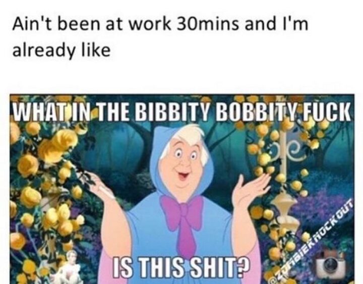 65 Funny Sarcastic Memes - "Ain't been at work 30 minutes and I'm already like what in the bibbity bobbity [censored] is this [censored]?