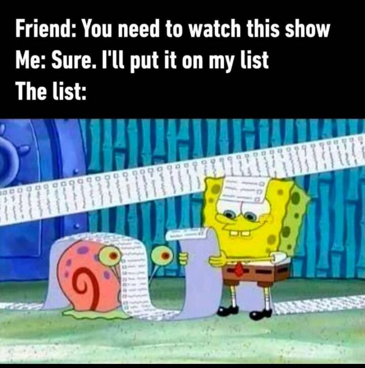 65 Funny Sarcastic Memes - "Friend: You need to watch this show. Me: Sure. I'll put it on my list. The list:"