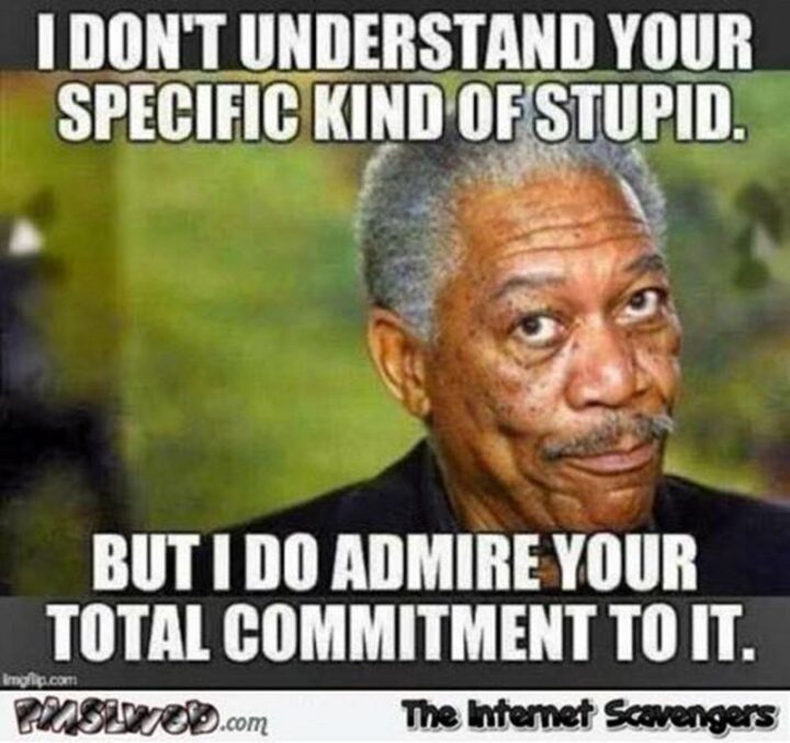 "I don't understand your specific kind of stupid but I do admire your total commitment to it."