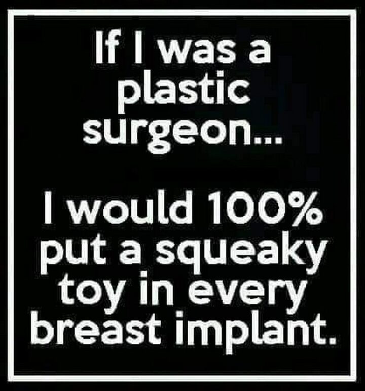 "If I was a plastic surgeon...I would 100% put a squeaky toy in every breast implant."