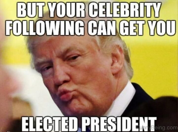 65 Stupid Memes: "But your celebrity following can get you elected president."