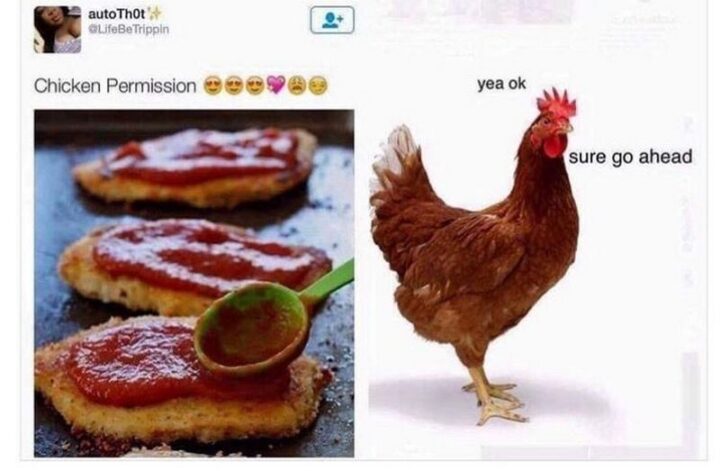 65 Stupid Memes:"Chicken permission. Yeah ok. Sure go ahead."