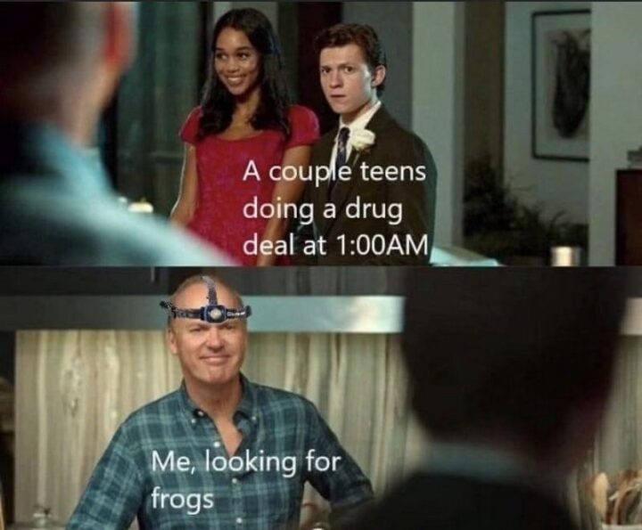 65 Stupid Memes: "A couple of teens doing a drug deal at 1:00 AM. Me looking for frogs."