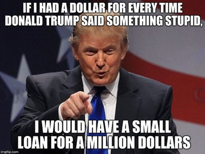 "If I had a dollar for every time Donald Trump said something stupid, I would have a small loan for a million dollars."