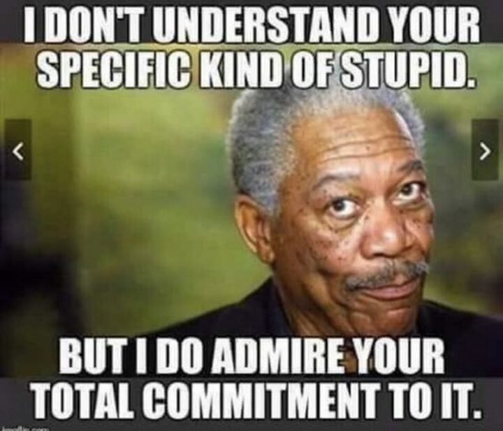 "I don't understand your specific kind of stupid but I do admire your total commitment to it."