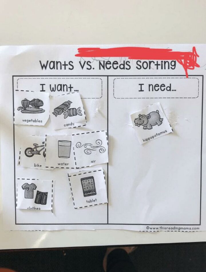 "Wants VS Needs: I want...vegetables, candy, bike, water, air, clothes, tablet. I need...hippopotamus."