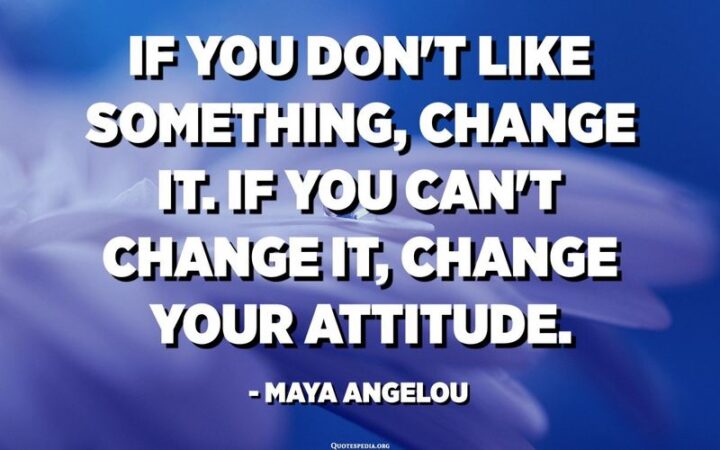 "If you don’t like something, change it. If you can't change it, change your attitude." - Maya Angelou