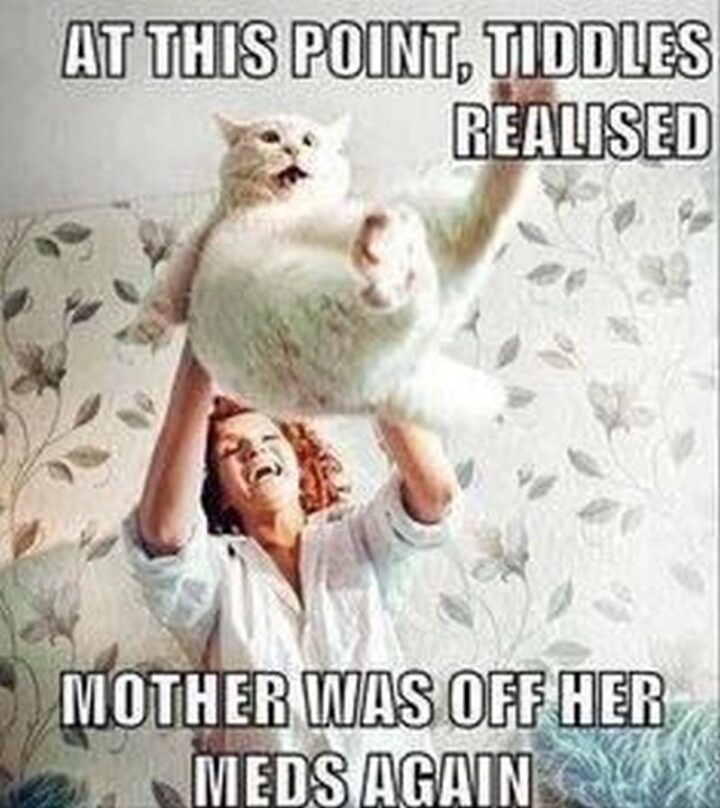 Vintage Humor - "At this point, Tiddles realized mother was off her meds again."