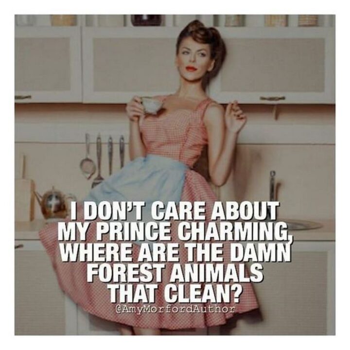 Vintage Humor - "I don't care about my prince charming, where are the damn forest animals that clean?"