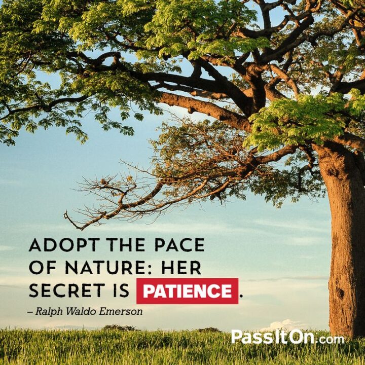 "Adopt the pace of nature: Her secret is patience." - Ralph Waldo Emerson