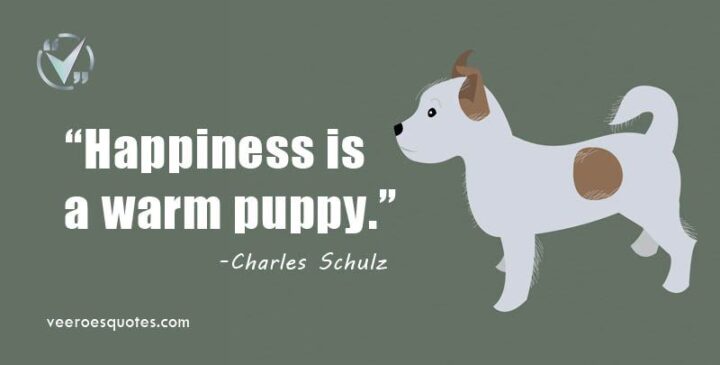 "Happiness is a warm puppy." - Charles M. Schulz