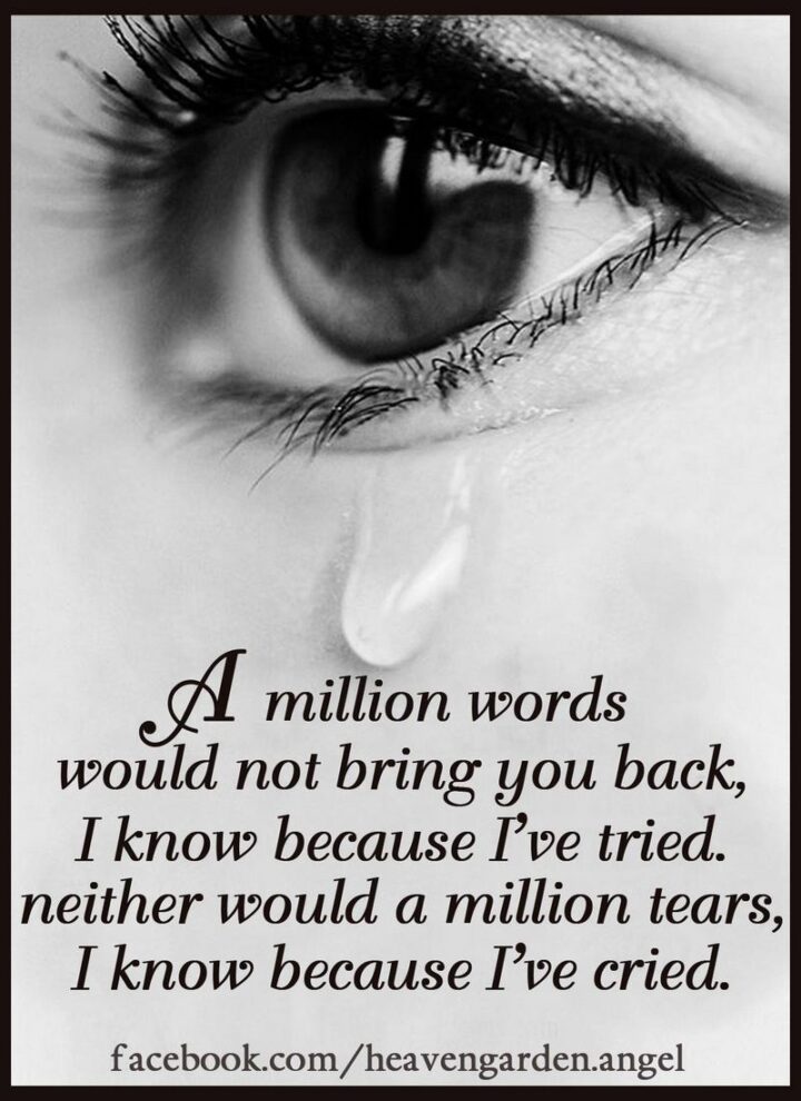 51 Sad Quotes About Life - "A million words would not bring you back, I know because I tried, neither would a million tears, I know because I cried."