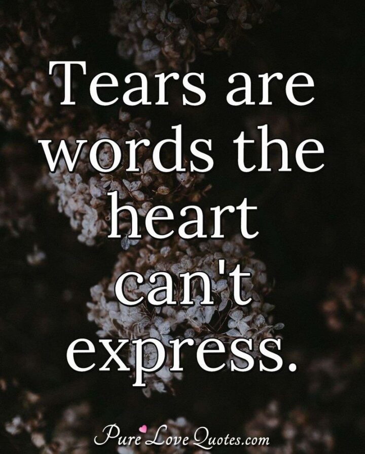 51 Sad Quotes About Life - "Tears are words the heart can't express."