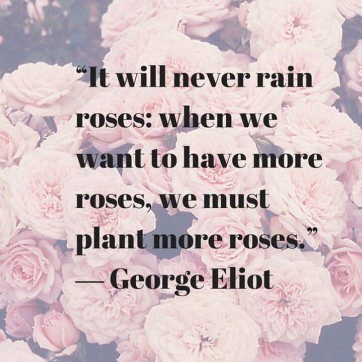 51 Sad Quotes About Life - "It will never rain roses: when we want to have more roses, we must plant more roses." - George Eliot