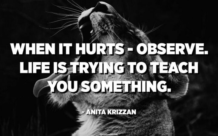 "When it hurts - Observe. Life is trying to teach you something." - Anita Krizzan