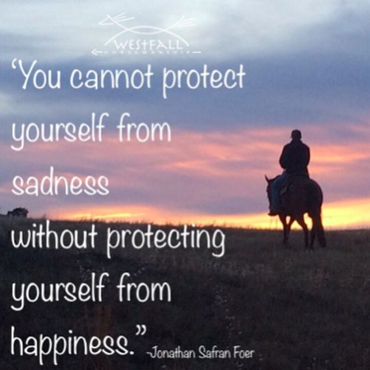 "You cannot protect yourself from sadness without protecting yourself from happiness." - Jonathan Safran Foer