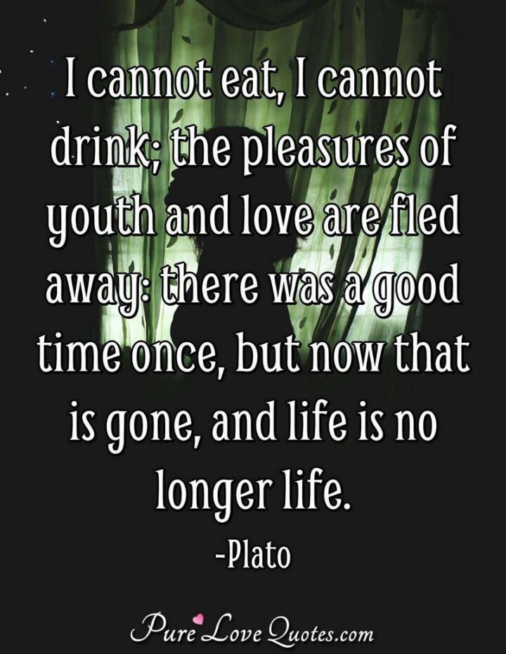 49 Sad Quotes About Love - "I cannot eat, I cannot drink; the pleasures of youth and love are fled away: there was a good time once, but now that is gone, and life is no longer life." - Plato