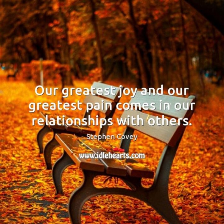 "Our greatest joy and our greatest pain come in our relationships with others." - Stephen R. Covey