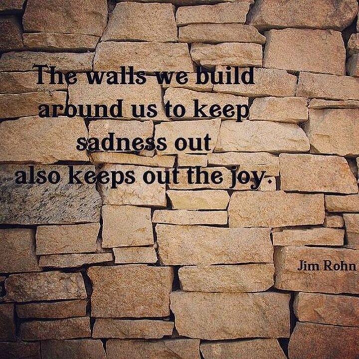 "The walls we build around us to keep sadness out also keeps out the joy." - Jim Rohn