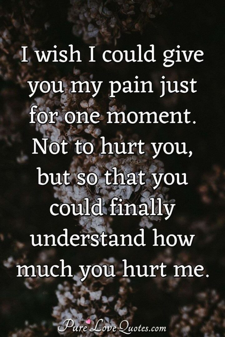 "I wish I could give you my pain just for one moment. Not to hurt you, but so that you could finally understand how much you hurt me." - Unknown