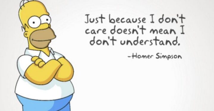 "Just because I don't care doesn't mean I don't understand." - Homer Simpson