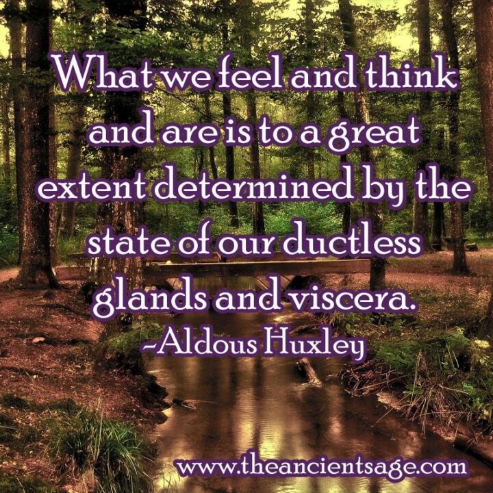"What we feel and think and are is to a great extent determined by the state of our ductless glands and viscera." - Aldous Huxley