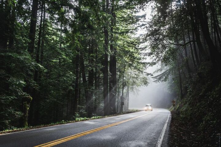 Take a drive through picturesque scenery.