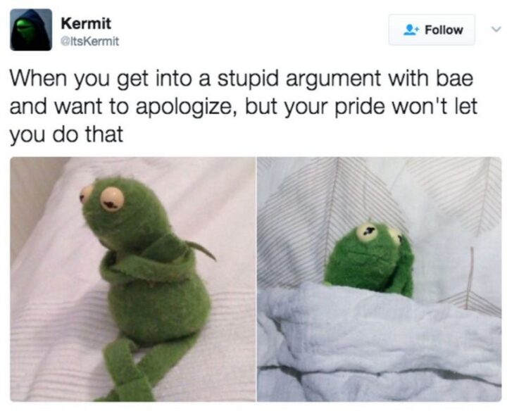 63 Funny Couple Memes - "When you get into a stupid argument with bae and want to apologize, but your pride won't let you do that."