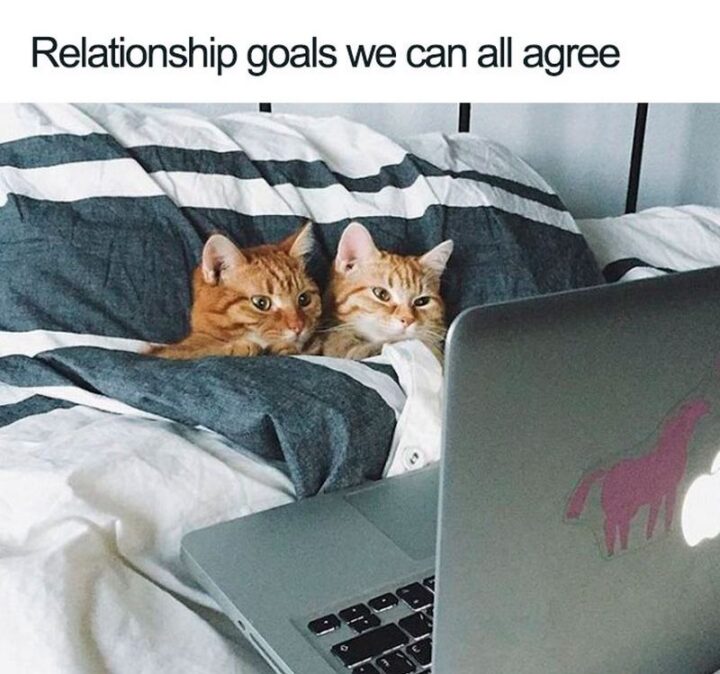 "Relationship goals we can all agree."