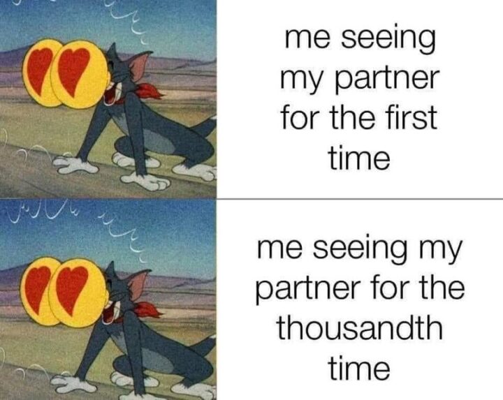 "Me seeing my partner for the first time. Me seeing my partner for the thousandth time."