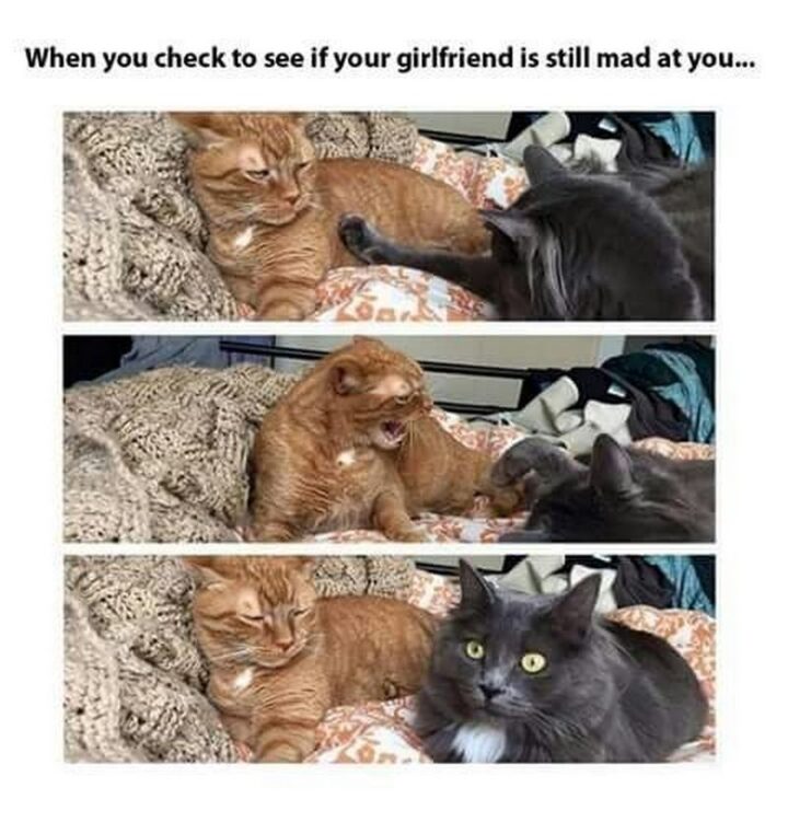 "When you check to see if your girlfriend is still mad at you..."