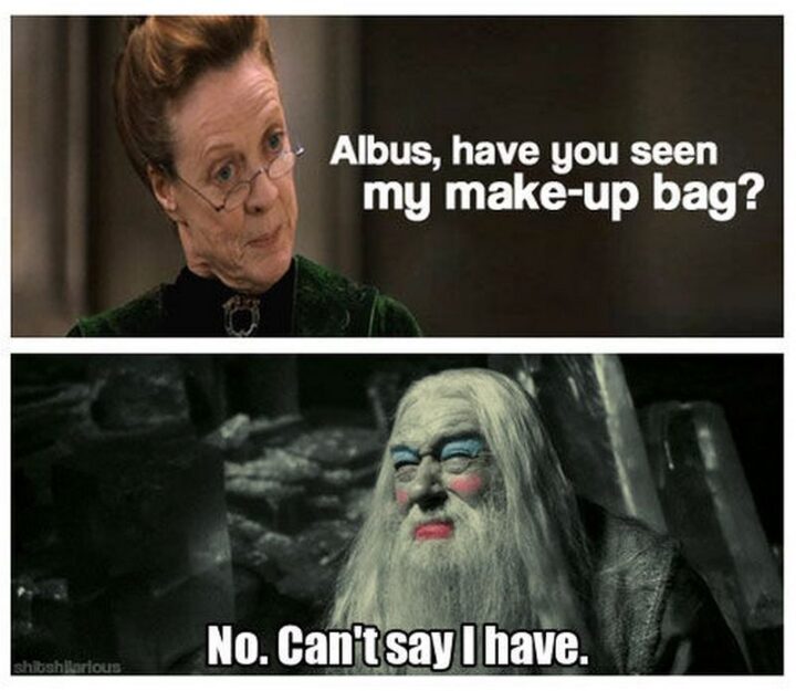 63 Harry Potter Memes - "Albus, have you seen my make-up bag? No. Can't say I have."