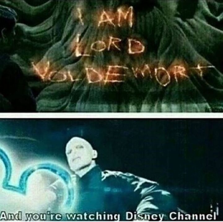 63 Harry Potter Memes - "I am Lord Voldemort and you're watching Disney Channel."