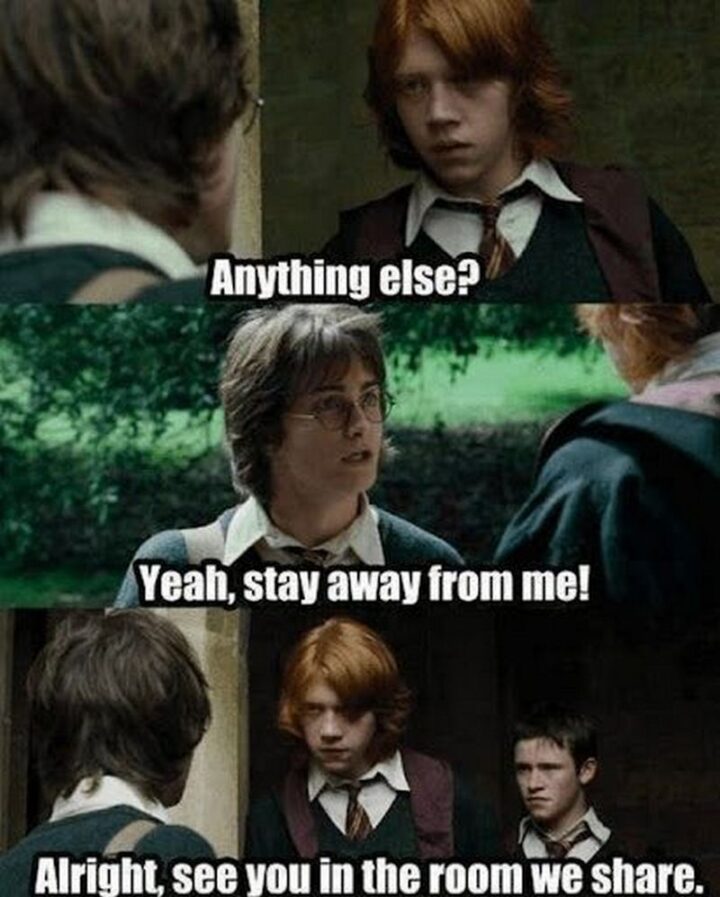 63 Harry Potter Memes - "Anything else? Yeah, stay away from me! Alright, see you in the room we share."