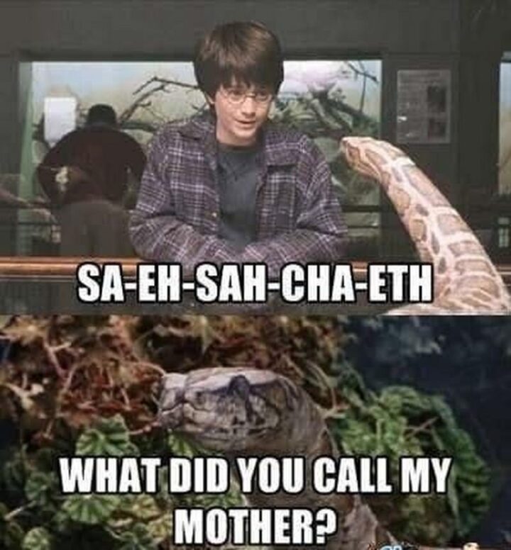 63 Harry Potter Memes - "Sa-eh-sah-cha-eth. What did you call, my mother?"