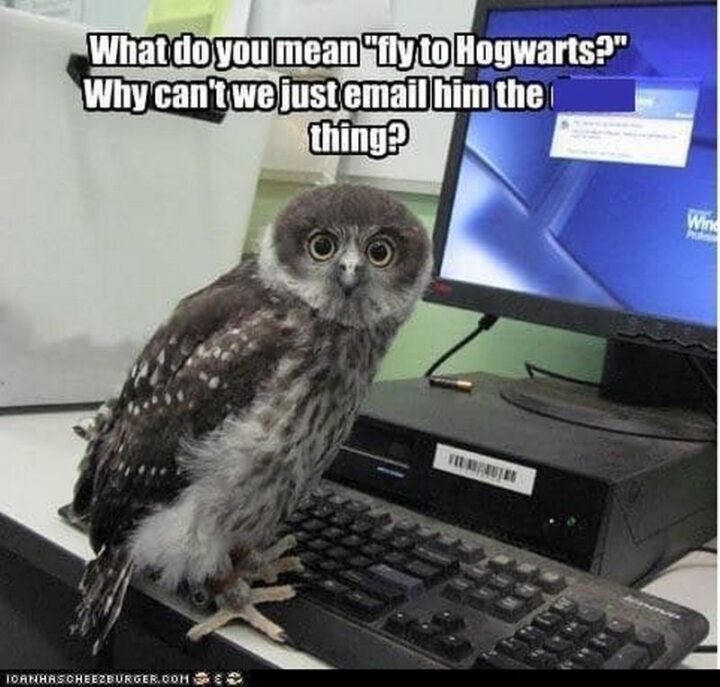 63 Harry Potter Memes - "What do you mean 'fly to Hogwarts?' Why can't we just email him the [censored] thing?"
