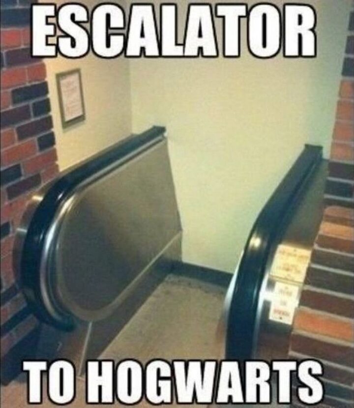 63 Harry Potter Memes - "Escalator to Hogwarts."