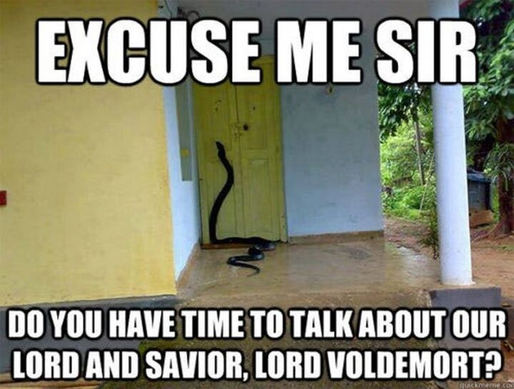 63 Harry Potter Memes - "Excuse me, sir, do you have time to talk about our lord and savior, Lord Voldemort?