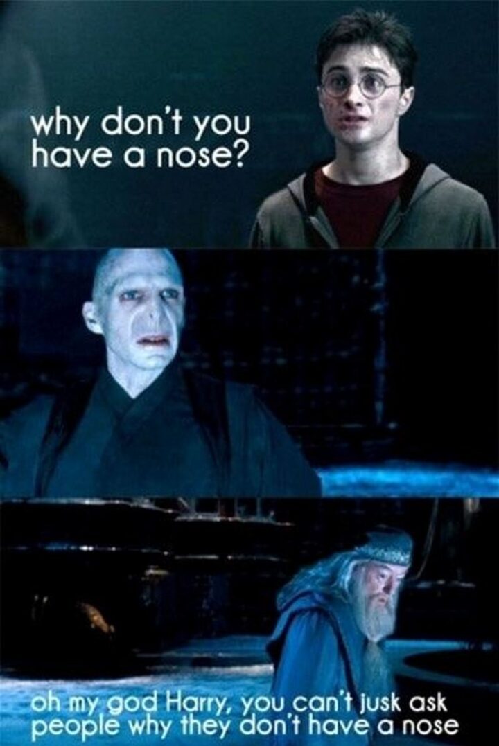 "Why don't you have a nose? Oh my dog Harry, you can't just ask people why they don't have a nose."