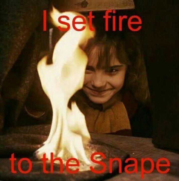 "I set fire to the Snape."