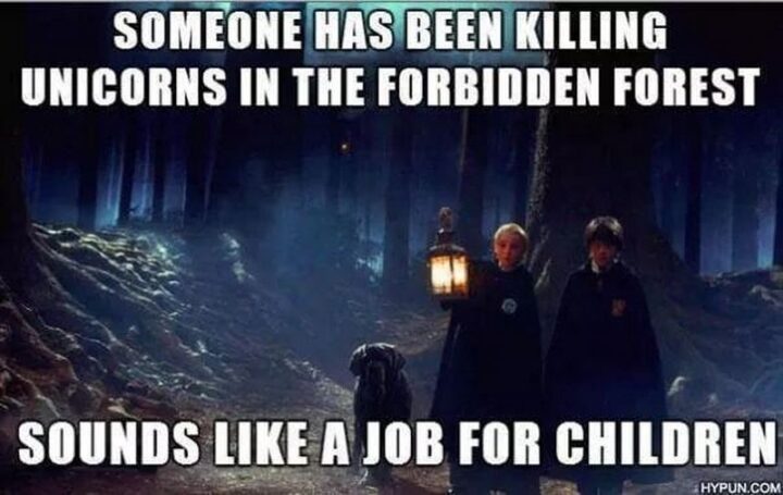 "Someone has been killing unicorns in the forbidden forest. Sounds like a job for children."