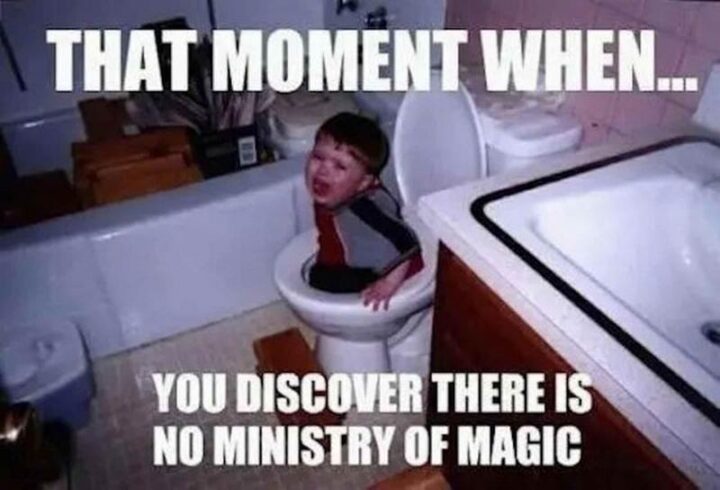 "That moment when...You discover there is no ministry of magic."