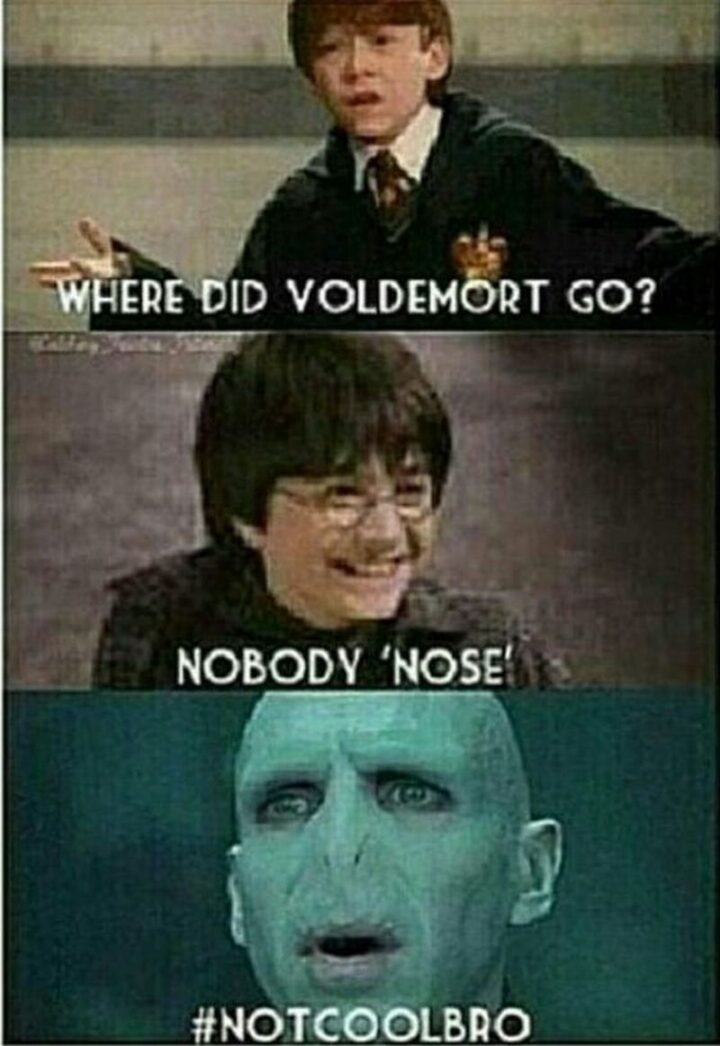 "Where did Voldemort go? Nobody 'nose'. Not cool bro."
