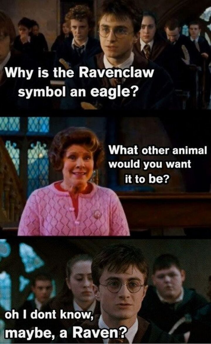 "Why is the Ravenclaw symbol an eagle? What other animal would you want it to be? Oh, I don't know, maybe, a Raven?"