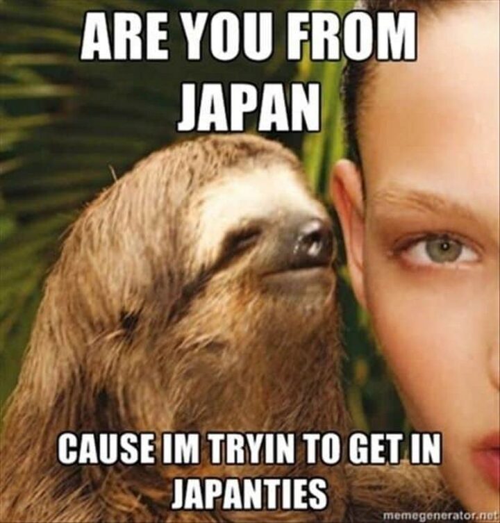 69 Inappropriate Memes - "Are you from Japan? Cause I'm tryin' to get in japanties."